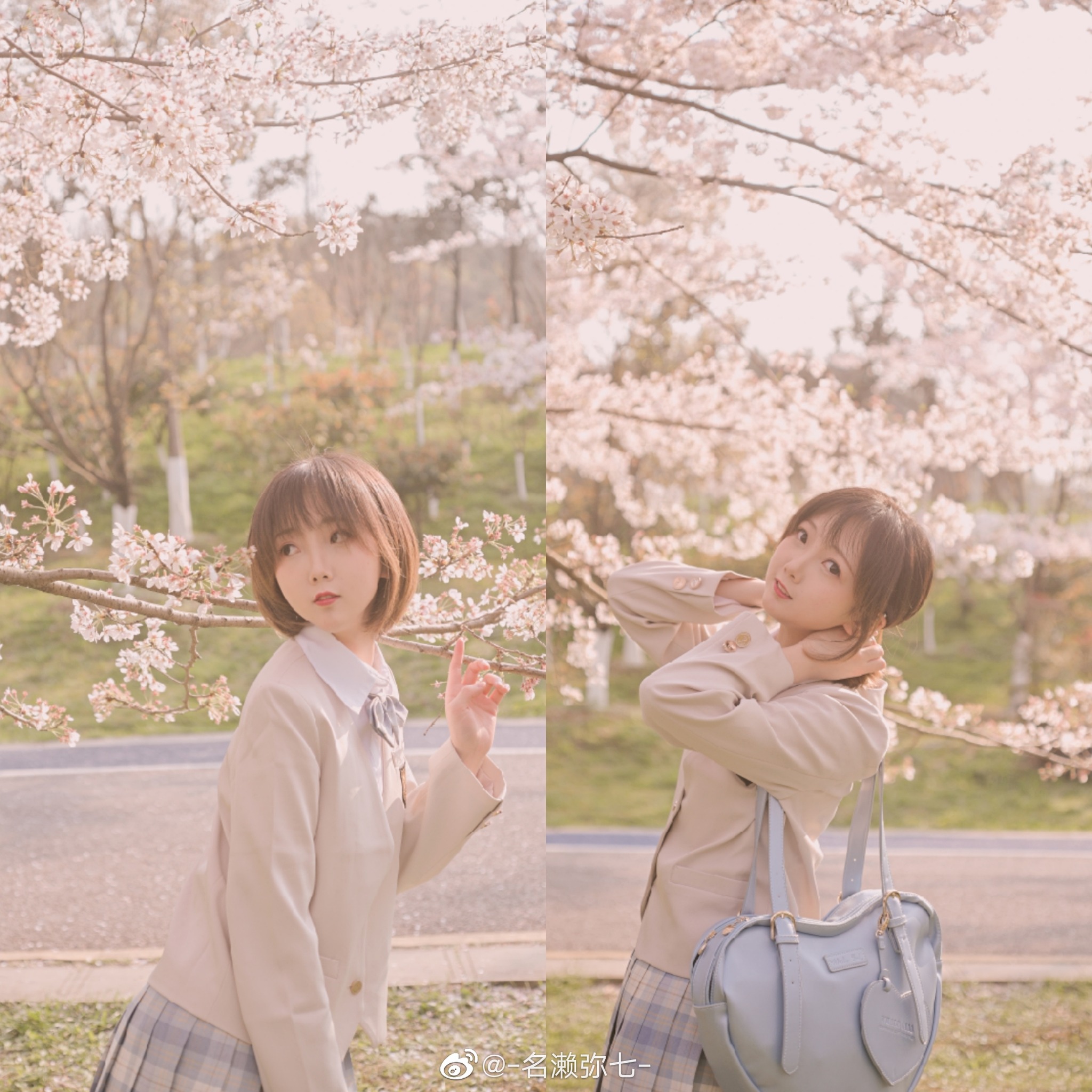图片[1]-名赖弥七 – NO.003 樱花 [14P]-XikXak
